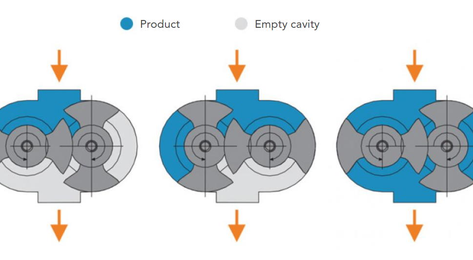 Fluid distribution in the rotors